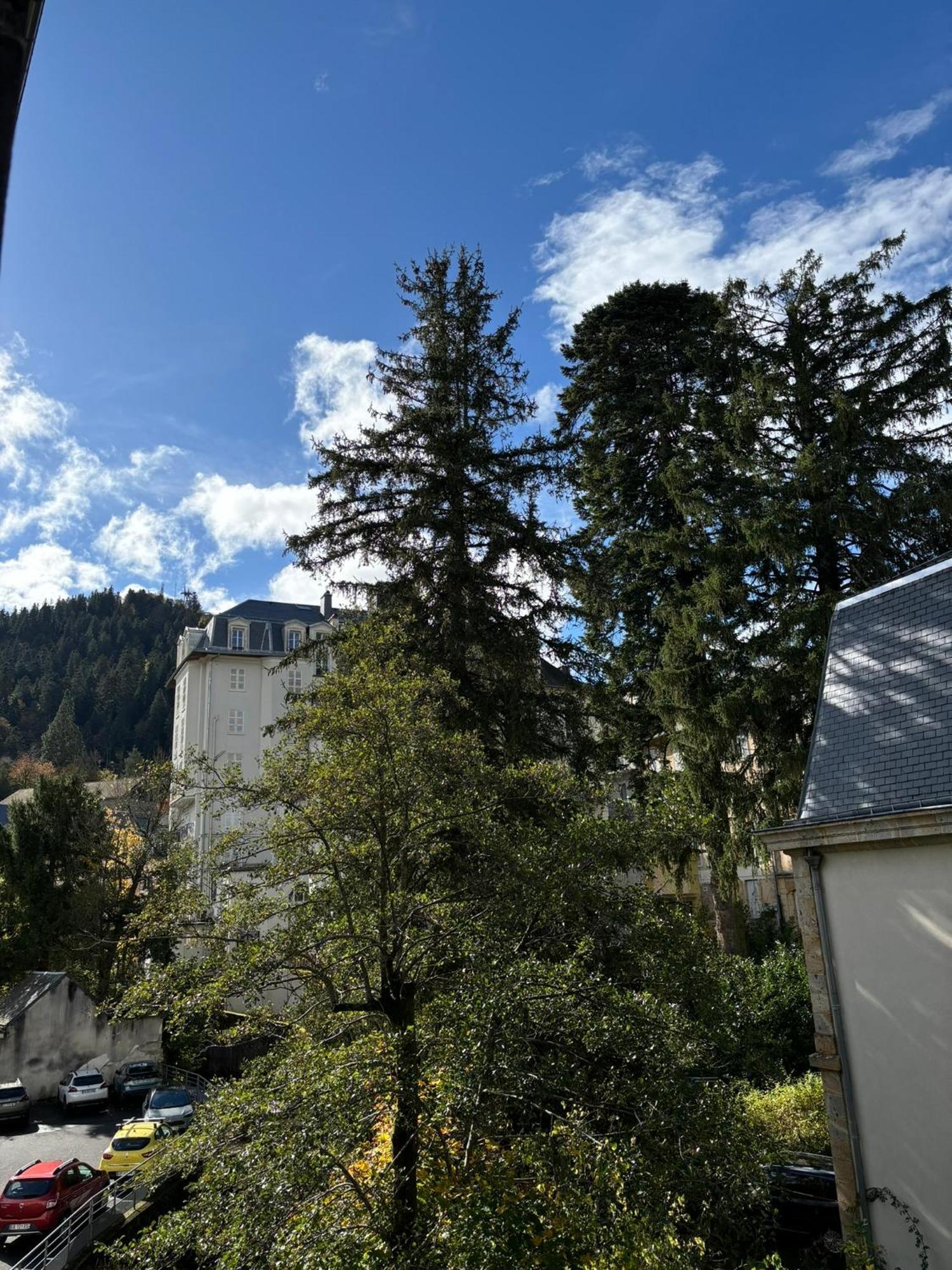 Appt Lumineux, Thermes Et Montagne La Bourboule Extérieur photo